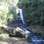 Cascades La Paz Waterfall Gardens