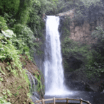 Cascades La Paz Waterfall Gardens