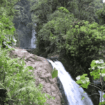 Cascades La Paz Waterfall Gardens