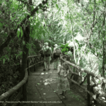 La Paz Waterfall Gardens