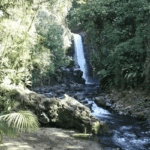 Cascades La Paz Waterfall Gardens