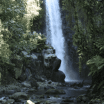 Cascades La Paz Waterfall Gardens