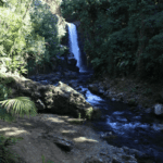 Cascades La Paz Waterfall Gardens