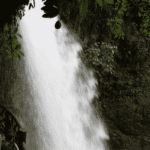 Cascades La Paz Waterfall Gardens