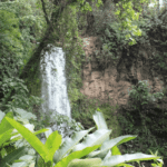 Cascades La Paz Waterfall Gardens