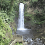 Cascades La Paz Waterfall Gardens