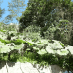 la Paz Waterfall Gardens