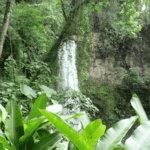 Cascades La Paz Waterfall Gardens