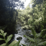 la Paz Waterfall Gardens
