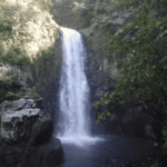 Cascades La Paz Waterfall Gardens