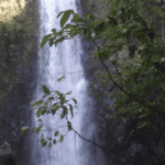 Cascades La Paz Waterfall Gardens