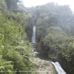 Cascades La Paz Waterfall Gardens