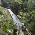 Cascades La Paz Waterfall Gardens