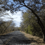 Parc National de Santa Rosa : visite du musée historique