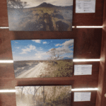 La Casona de Santa Rosa : visite du musée historique