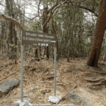 Parc National de Santa Rosa