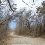 Parc National de Santa Rosa