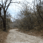 Parc National de Santa Rosa
