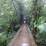 Sentier Rio Celeste, Volcan Tenorio