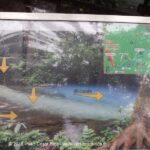 Rio Celeste : río Buenavista et la Quebrada Agria