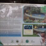 Rio Celeste : río Buenavista et la Quebrada Agria