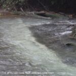 Rio Celeste : río Buenavista et la Quebrada Agria
