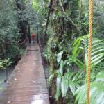 Sentier Rio Celeste, Volcan Tenorio