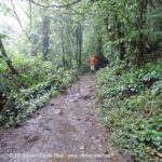 Sentier Rio Celeste, Volcan Tenorio