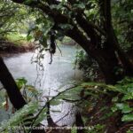 Sentier Rio Celeste, Volcan Tenorio