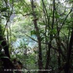 Rio Celeste lagon bleu « Laguna Azul »