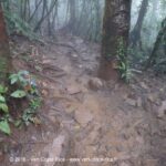 Sentier Rio Celeste, Volcan Tenorio