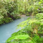 Rio Celeste Cascade - Catarata Rio Celeste