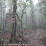 Rio Celeste - volcan Tenorio « Parque Nacional Volcán Tenorio »