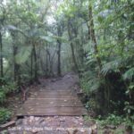 Rio Celeste - volcan Tenorio