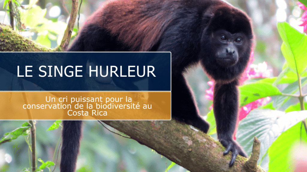 Le sing hurleur au costa rica : gardien des forets tropicales