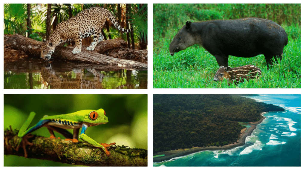 itineraire 21 jours d'aventures au Costa Rcia