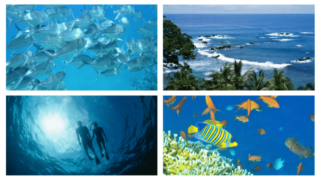 itineraire 21 jours d'aventures au Costa Rica