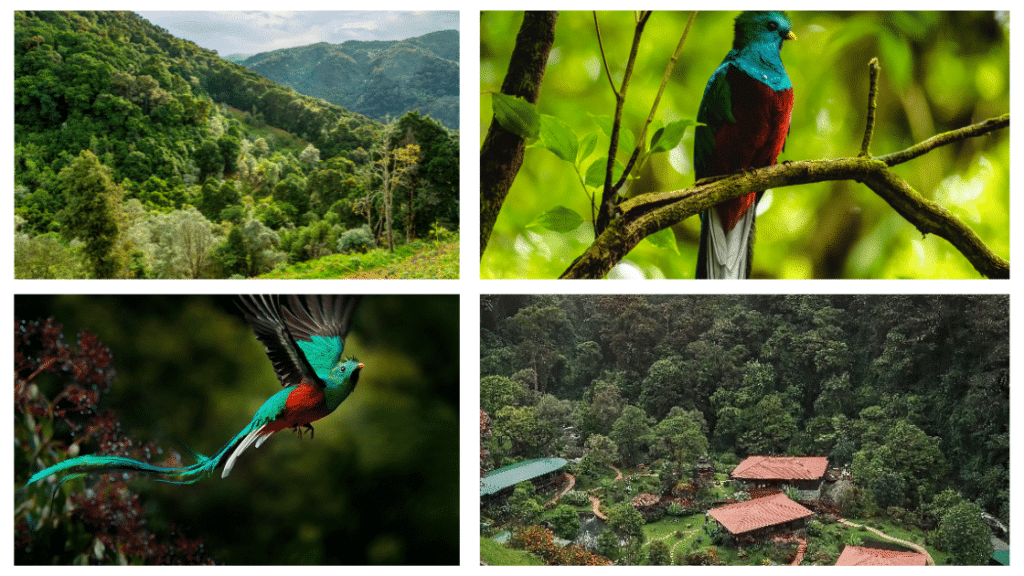 itineraire 21 jours d'aventures au Costa Rica