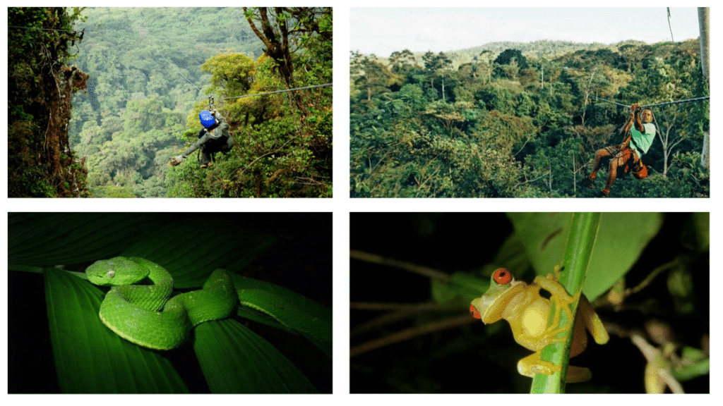 21 jours d'aventures au Costa Rica