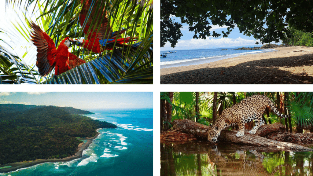 itinéraire 21 jours au costa Rica avec Bahia Drake