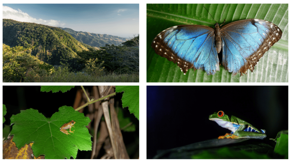 itineraire 15 jours en famille au costa rica