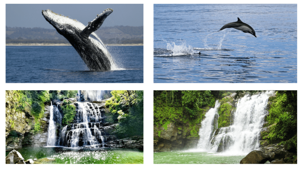 itineraire de 15 jours au costa rica en famille