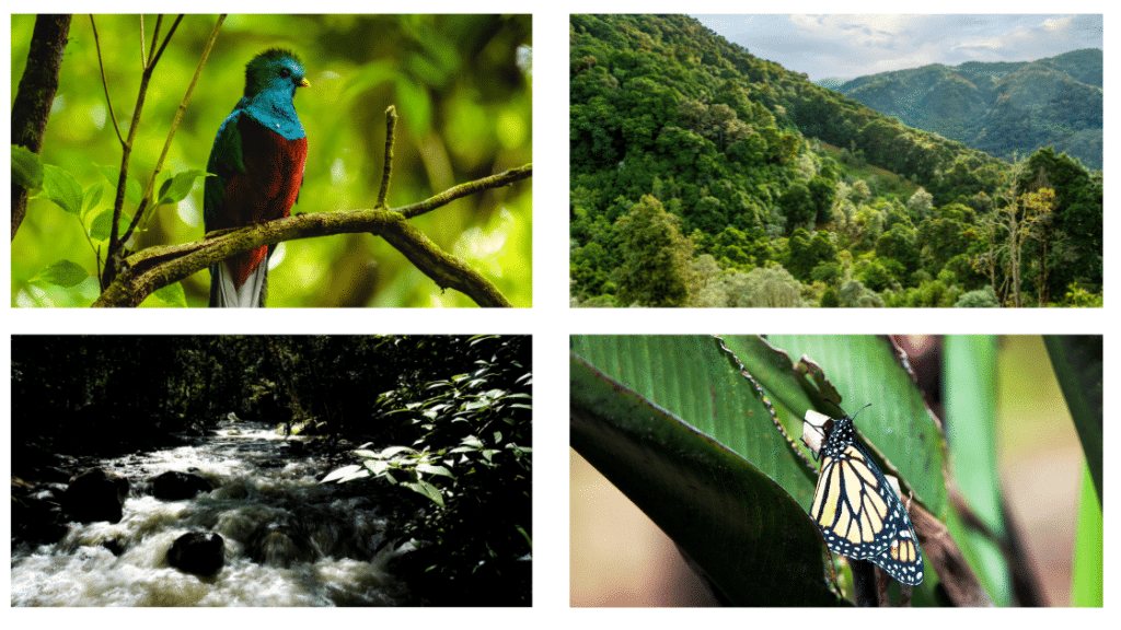 itineraire de 15 jours au costa rica en famille
