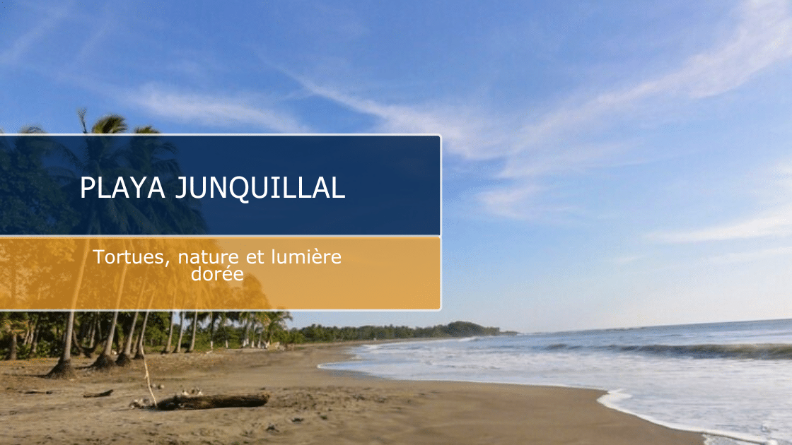 Découvrez Playa Junquillal : entre tortues, surf et tranquillité.