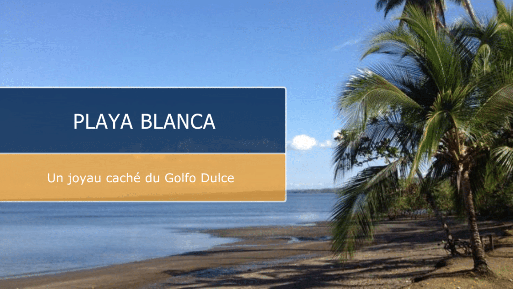 Playa Blanca Costa Rica : escapade nature près de Puerto Jiménez