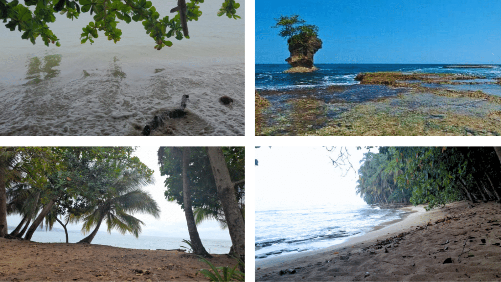 Séjour sur la côte Caraïbe : Cahuita, Puerto Viejo et Manzanillo à ne pas manquer