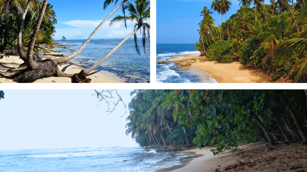 cahuita puerto viejo manzanillo plages costarica vertcostarica. 4