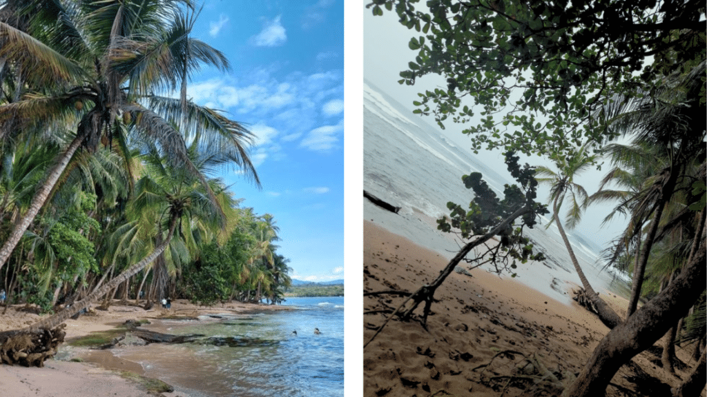 Séjour sur la côte Caraïbe : Cahuita, Puerto Viejo et Manzanillo à ne pas manquer