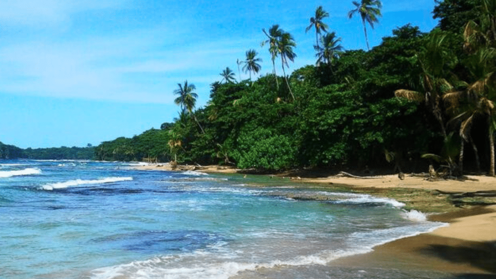 Playa Chiquita : tranquillité et nature sauvage au Costa Rica