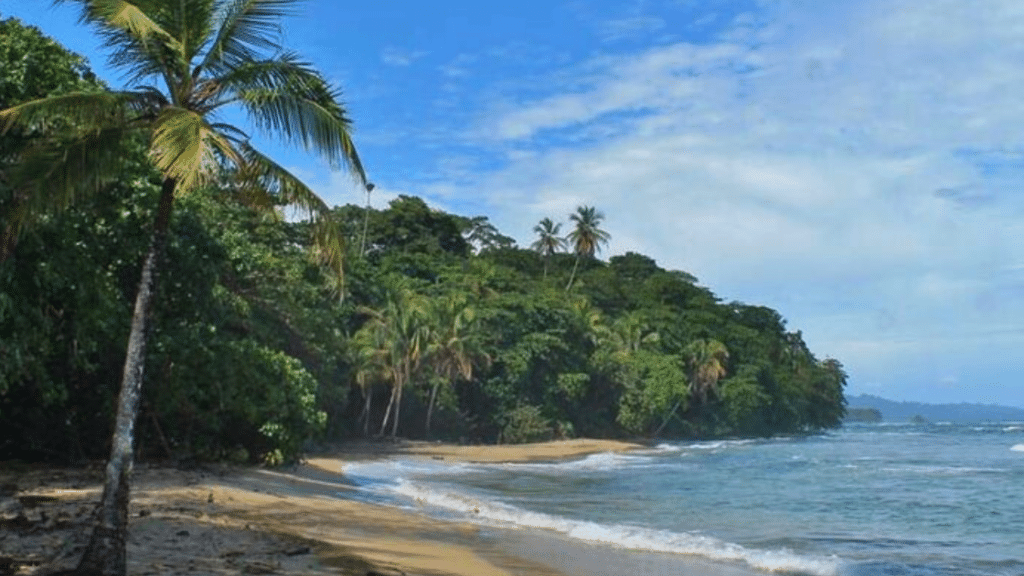 playa chiquita costarica vertcostarica. 1